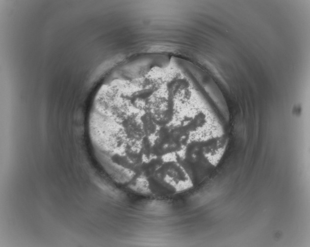 X0000091340303200709071223