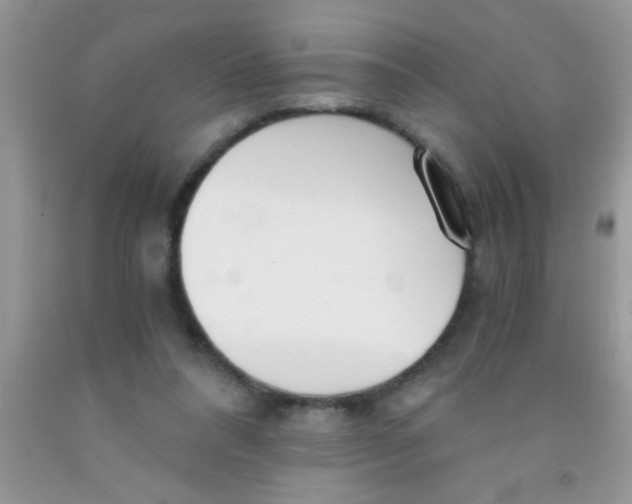 X0000091340304200709071223