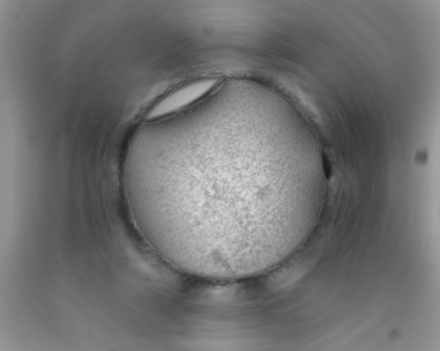 X0000091340306200709071223