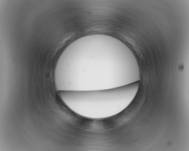 X0000091340308200709071223