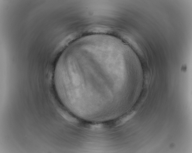 X0000091340309200709071223