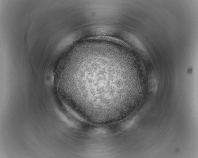 X0000091340310200709071223