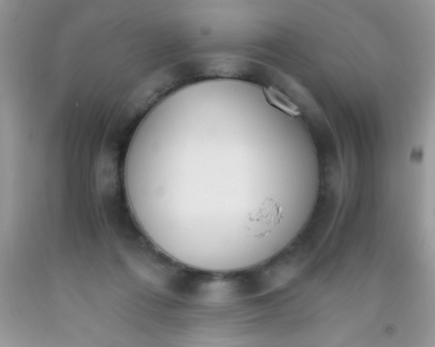 X0000091340312200709071223