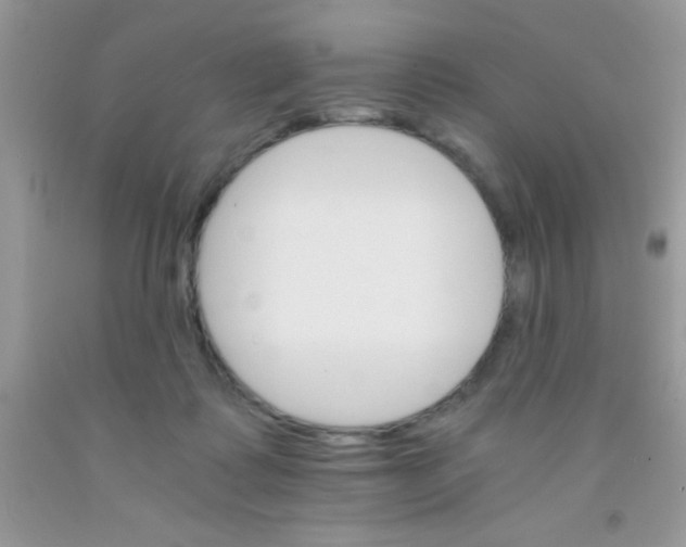 X0000091340315200709071223