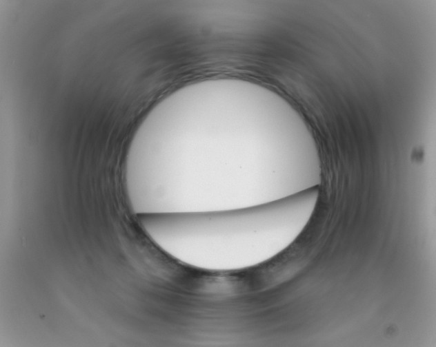 X0000091340316200709071223