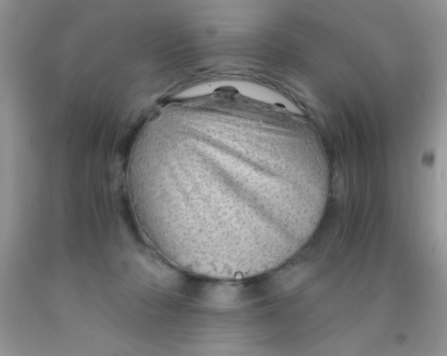 X0000091340318200709071223