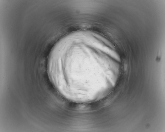 X0000091340319200709071223