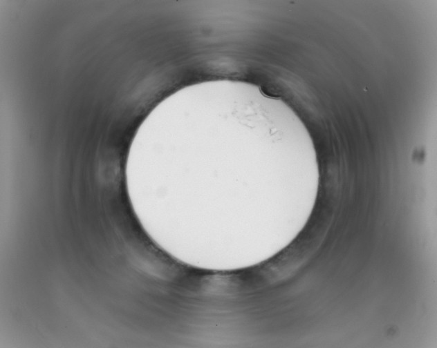 X0000091340320200709071223