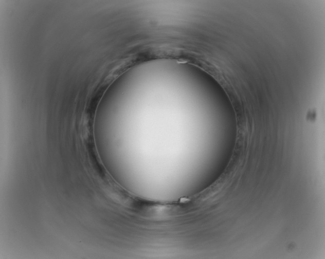 X0000091340323200709071223