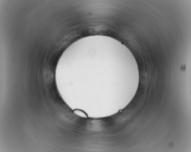 X0000091340324200709071223