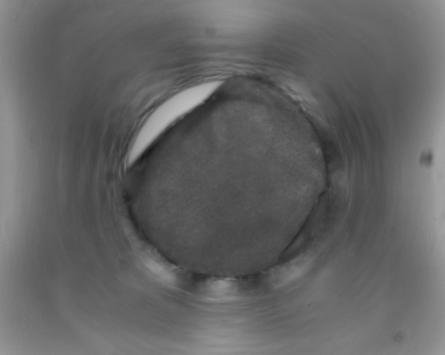 X0000091340325200709071223