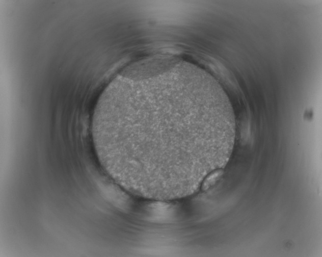 X0000091340326200709071223