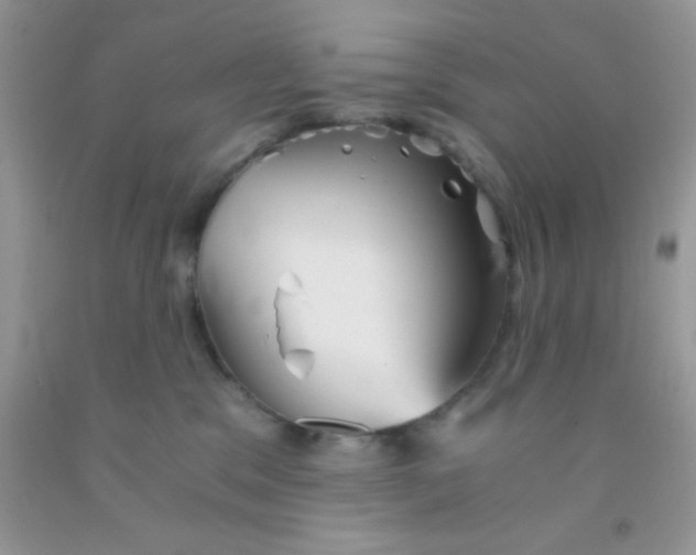 X0000091340329200709071223