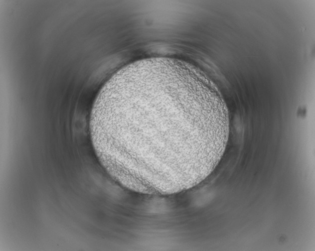 X0000091340330200709071223