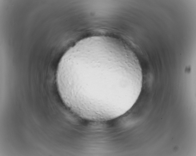 X0000091340331200709071223