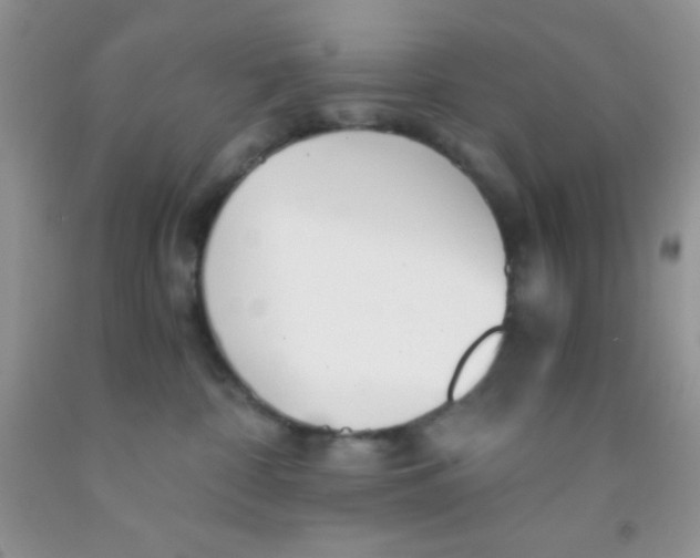 X0000091340332200709071223