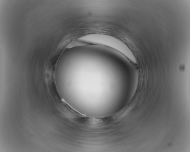 X0000091340333200709071223