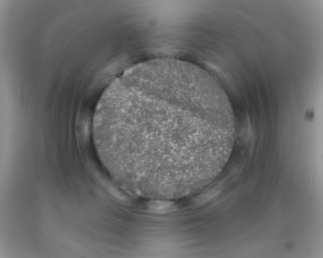 X0000091340334200709071223