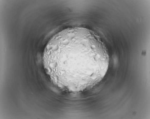 X0000091340335200709071223