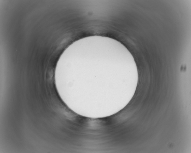 X0000091340336200709071223