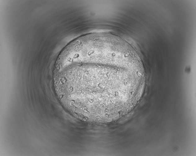 X0000091340337200709071222