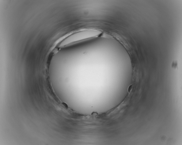 X0000091340338200709071222