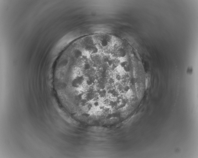 X0000091340339200709071222