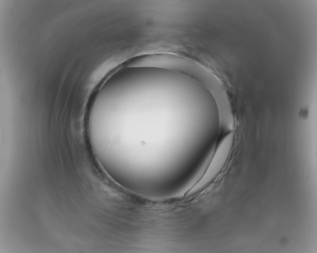 X0000091340340200709071222