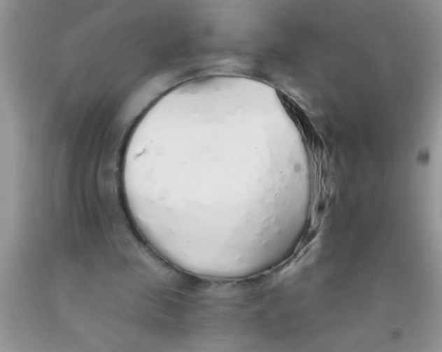 X0000091340341200709071222