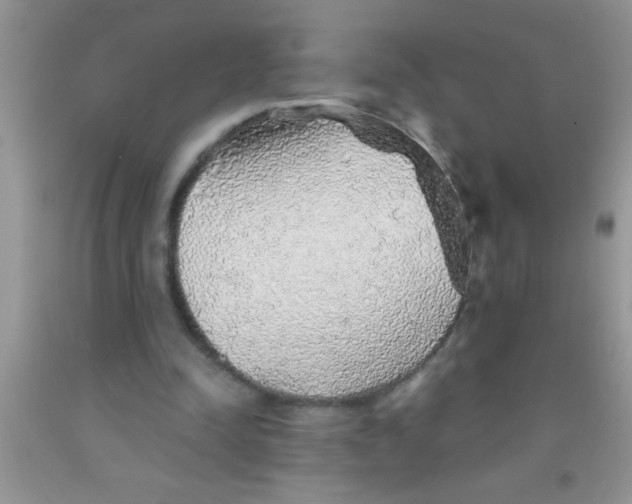 X0000091340342200709071222