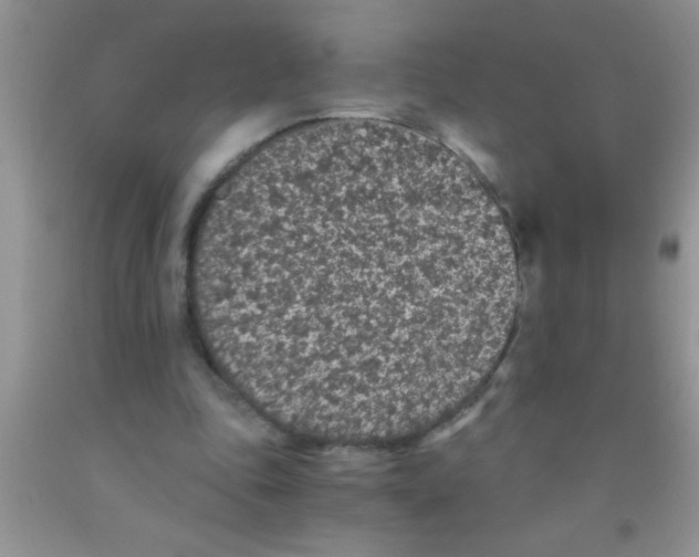 X0000091340343200709071222