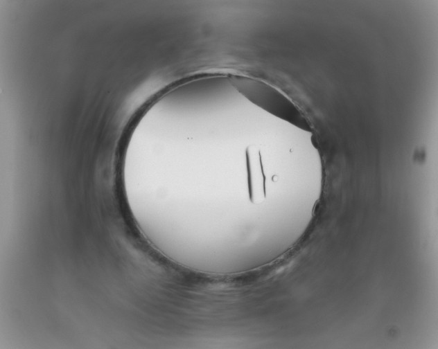 X0000091340344200709071222