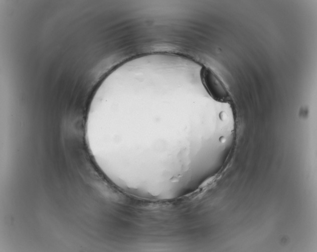 X0000091340345200709071222