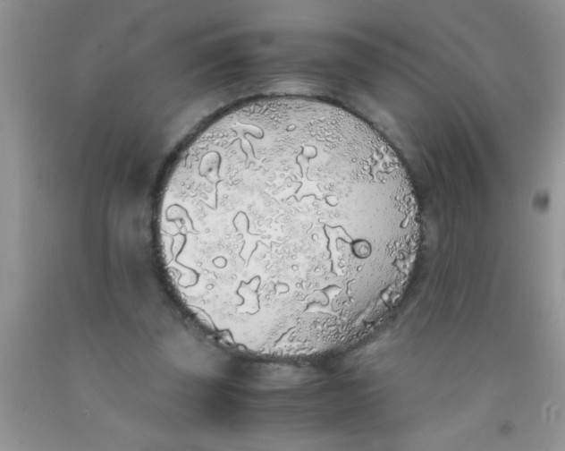 X0000091340347200709071222