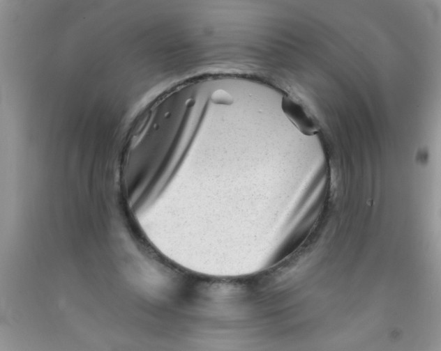 X0000091340348200709071222