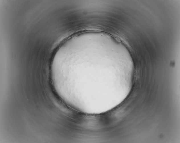 X0000091340349200709071222