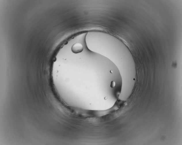 X0000091340350200709071222