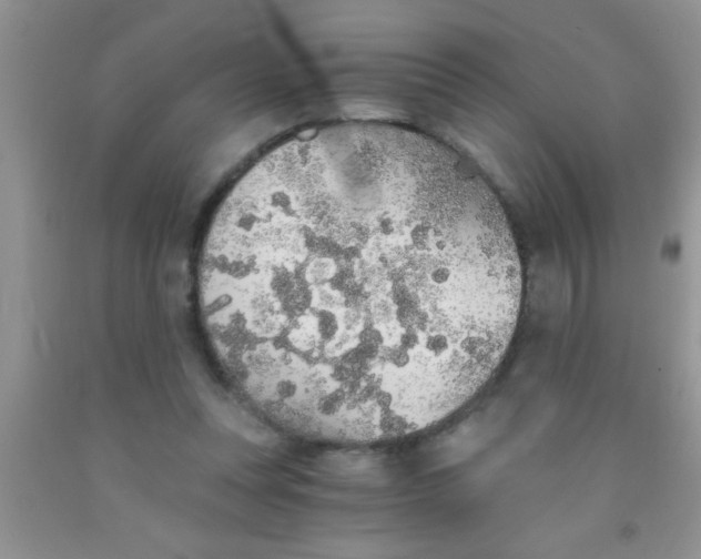 X0000091340351200709071222