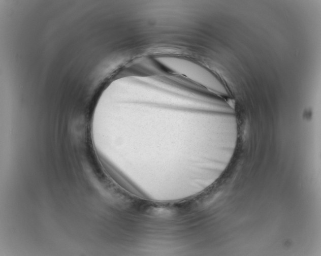 X0000091340352200709071222