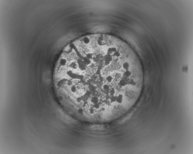 X0000091340353200709071222