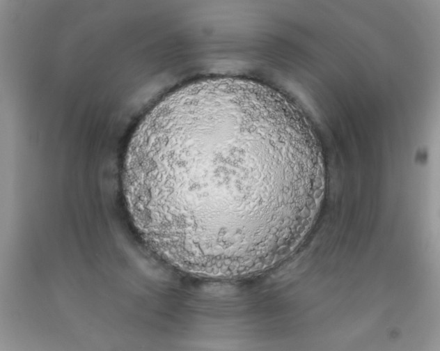 X0000091340354200709071222