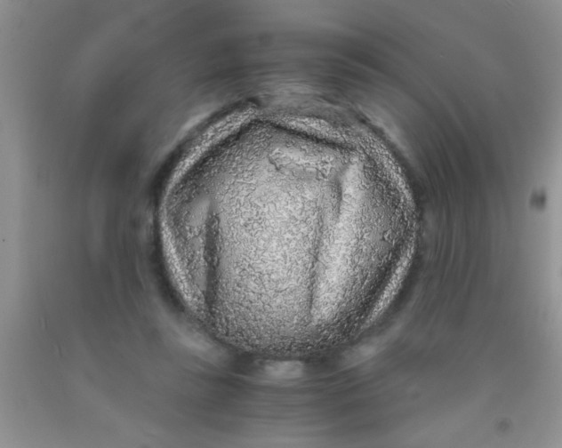 X0000091340355200709071222