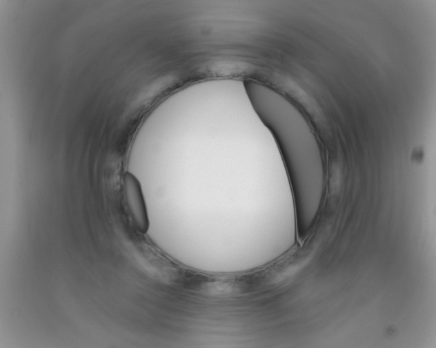 X0000091340356200709071222