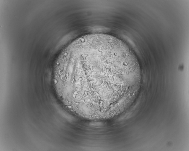 X0000091340357200709071222