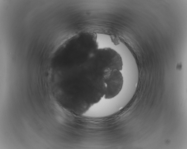 X0000091340359200709071222