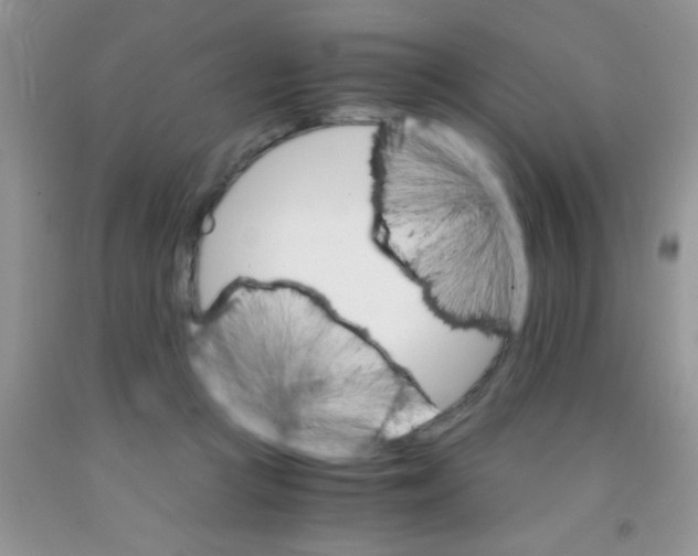 X0000091340361200709071222