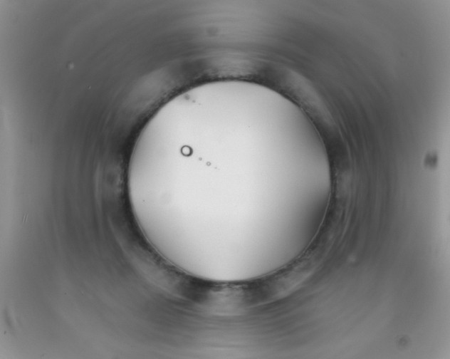 X0000091340362200709071222