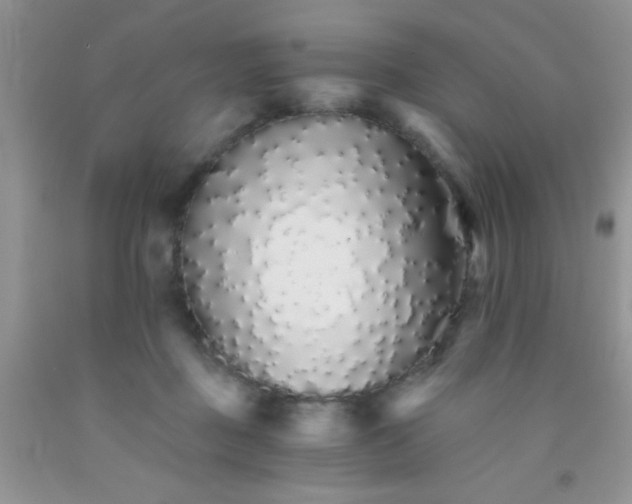 X0000091340363200709071222