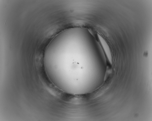 X0000091340364200709071222