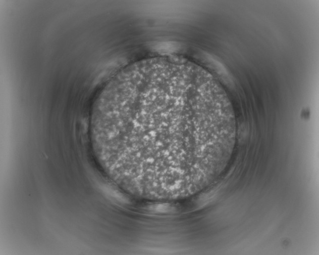 X0000091340365200709071222